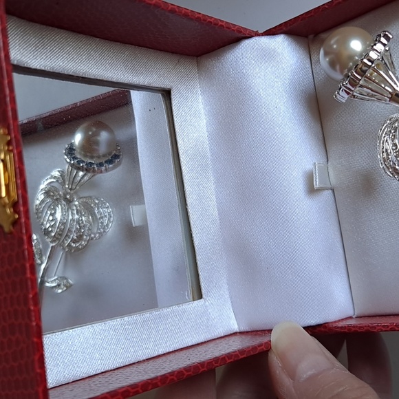 Napier Brooch Set - Picture 4 of 14